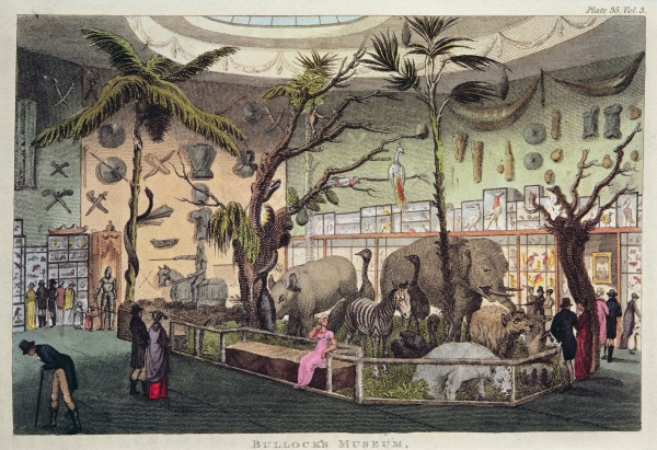 Bullock's Museum (colour engraving) by English School; Private Collection; English, out of copyright